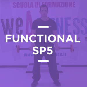 SP_05_functional