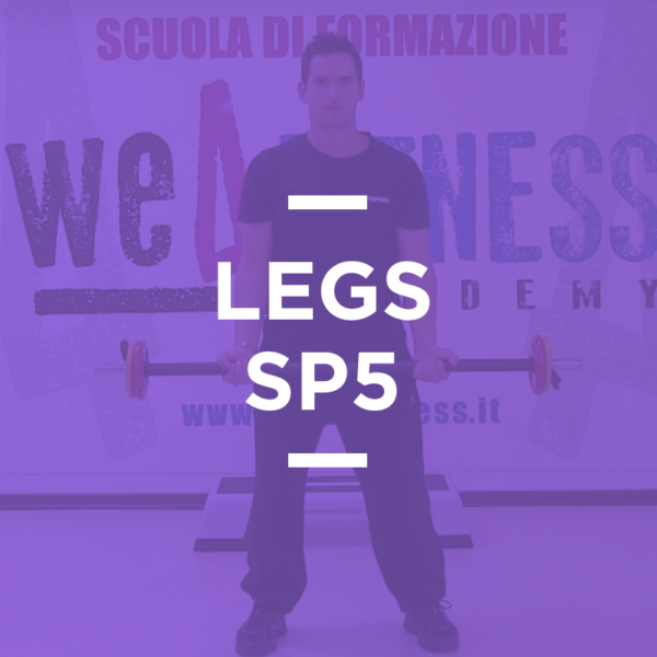 SP_05_legs