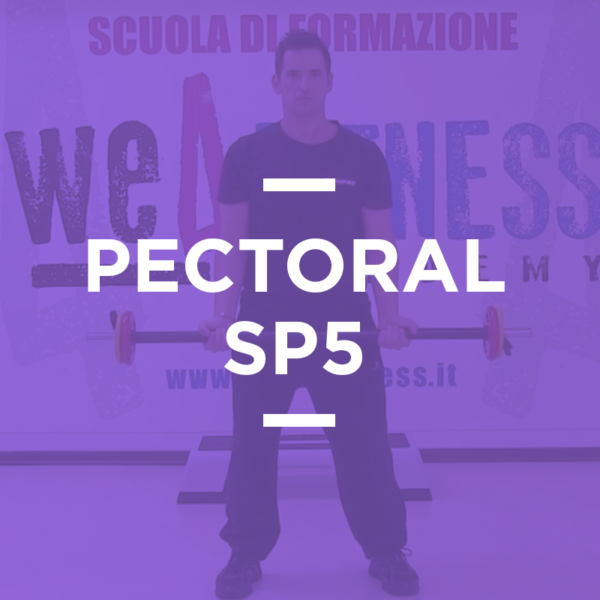 SP_05_pectoral