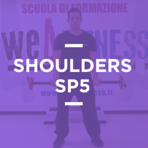 SP_05_shoulders
