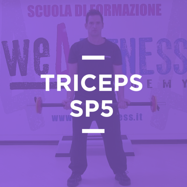 SP_05_triceps