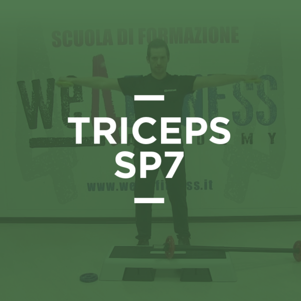 triceps_sp7