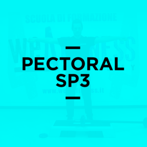 icona_pectoral_ps3
