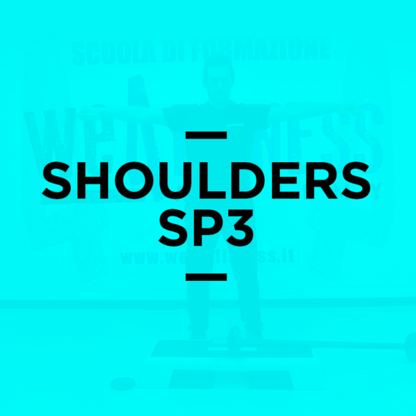 icona_shoulders_ps3
