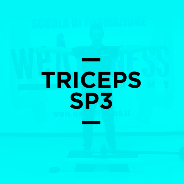 icona_triceps_ps3