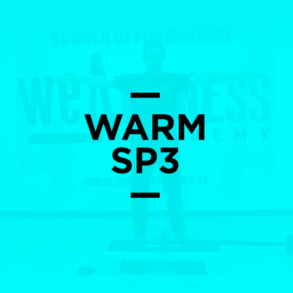 icona_warm_ps3