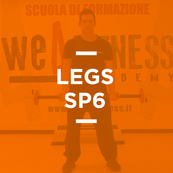 legs_06