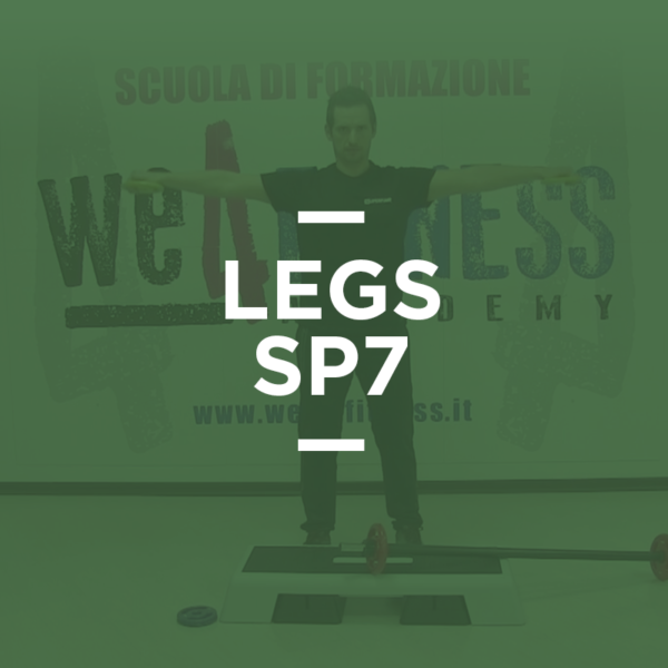 legs_sp7