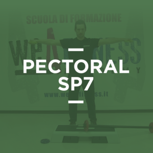 pectoral_sp7